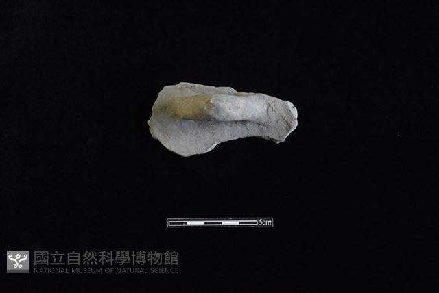 陶蓋鈕藏品圖，第1張