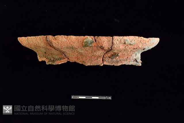 陶罐藏品圖，第1張