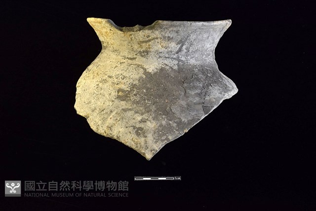 陶罐藏品圖，第1張