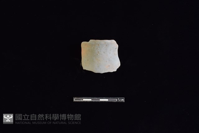 陶片藏品圖，第1張