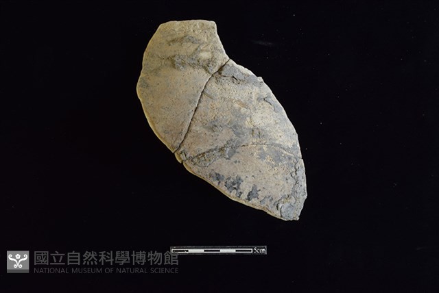 陶罐藏品圖，第1張