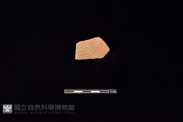 陶片藏品圖，第1張