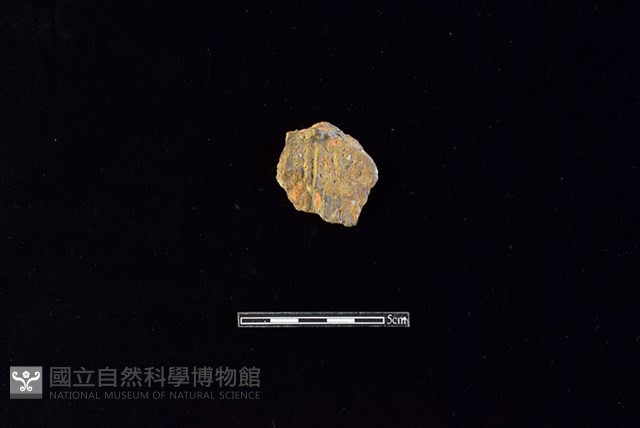 陶罐藏品圖，第1張