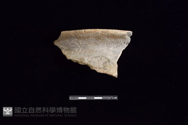 陶罐藏品圖，第1張