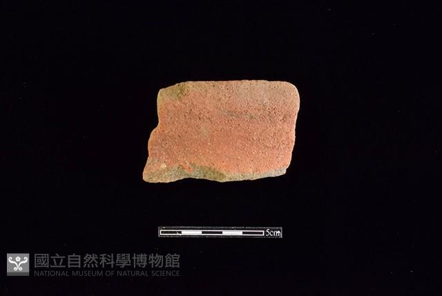 Accession Number:HLL-H PT0976 Collection Image, Figure 1, Total 2 Figures