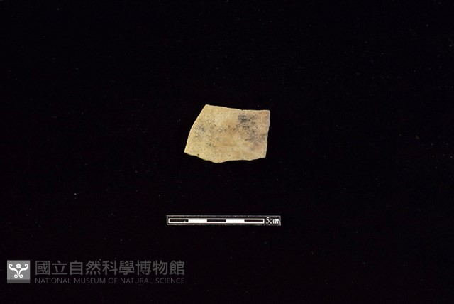 陶片藏品圖，第1張