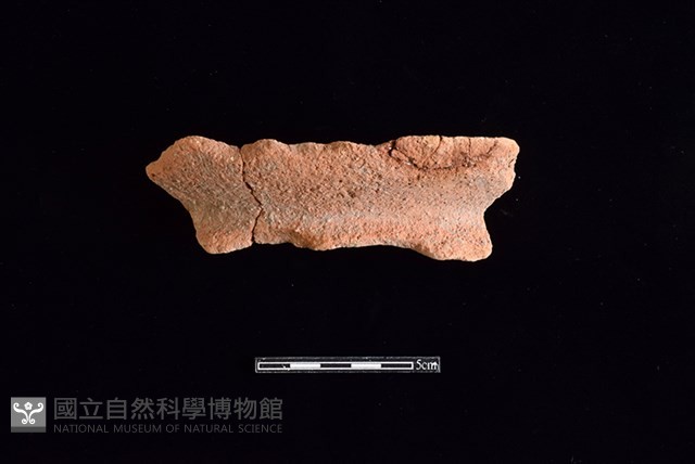 陶罐藏品圖，第1張