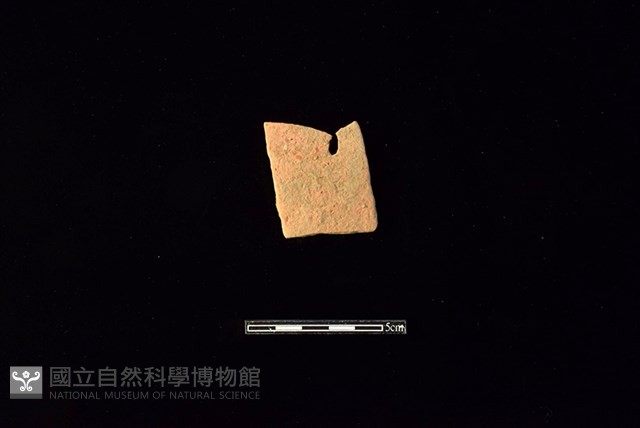 陶片藏品圖，第1張