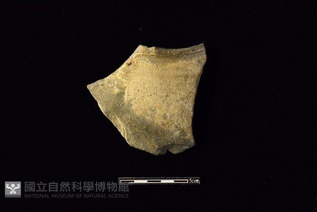 陶罐藏品圖，第1張