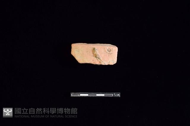 陶片藏品圖，第1張