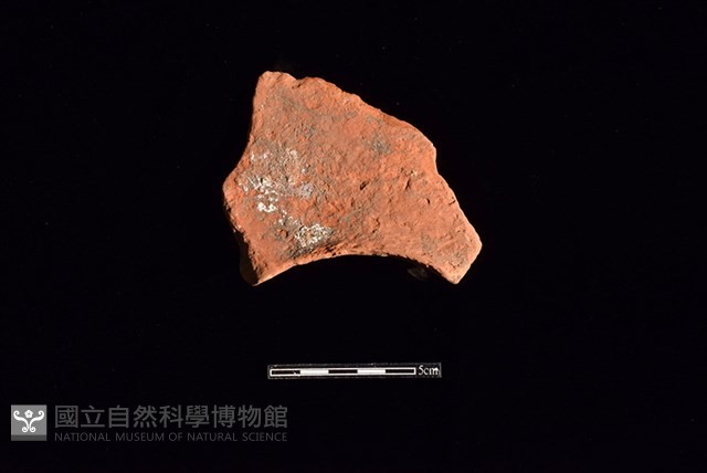 連杯形器藏品圖，第1張