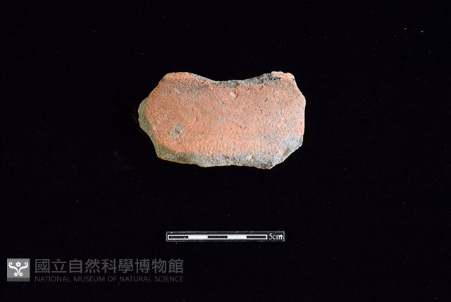 陶罐藏品圖，第1張