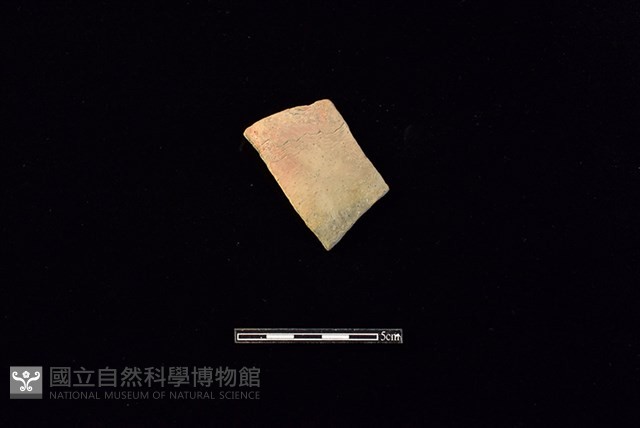陶片藏品圖，第1張