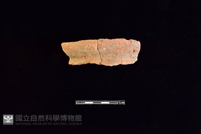 陶罐藏品圖，第1張