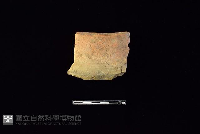 陶片藏品圖，第1張