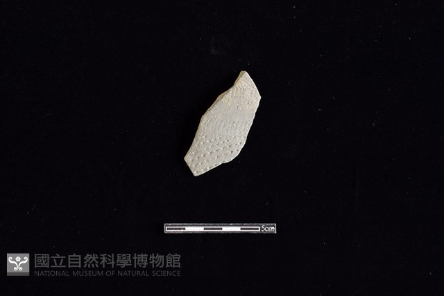 陶片藏品圖，第1張
