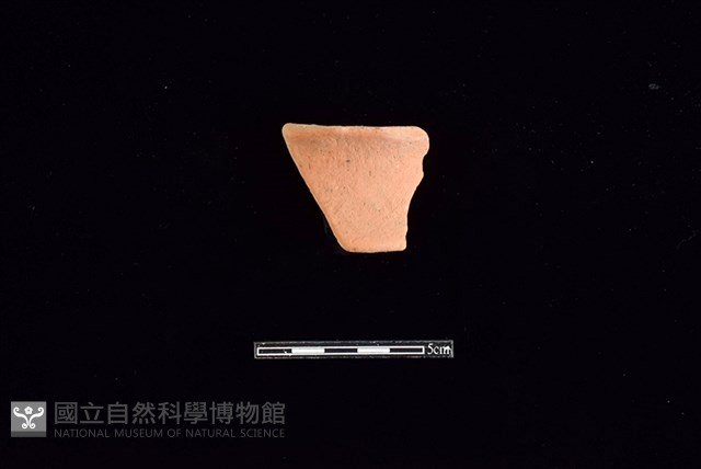 陶片藏品圖，第1張