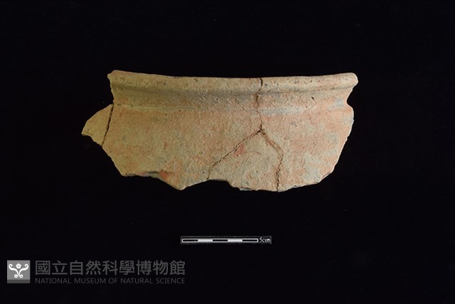 陶罐藏品圖，第1張