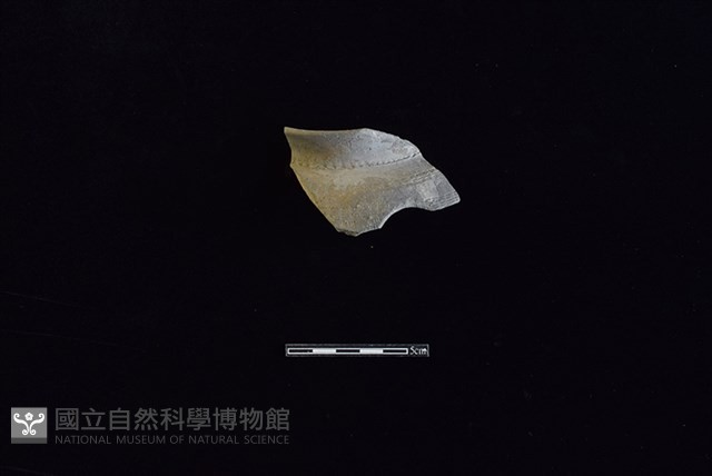 陶罐藏品圖，第1張