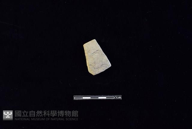 陶片藏品圖，第1張