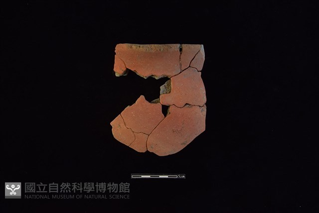 陶罐藏品圖，第1張