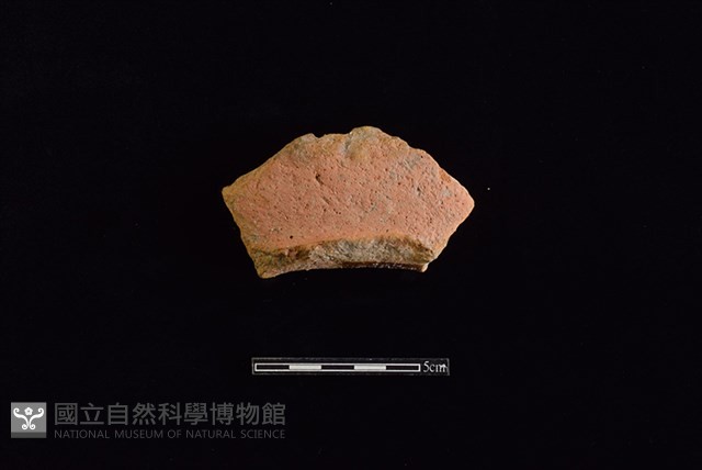 陶罐藏品圖，第1張