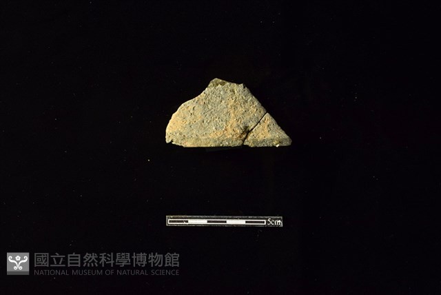 陶罐藏品圖，第1張