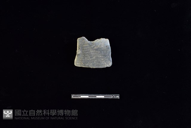 陶片藏品圖，第1張