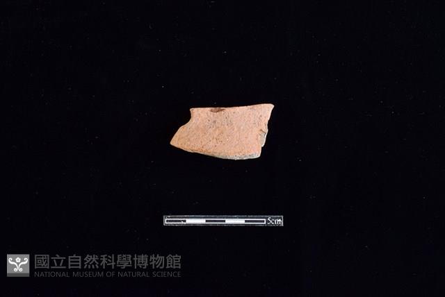 陶片藏品圖，第1張