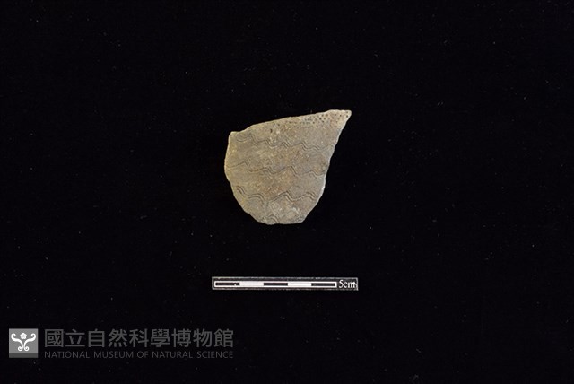 陶片藏品圖，第1張