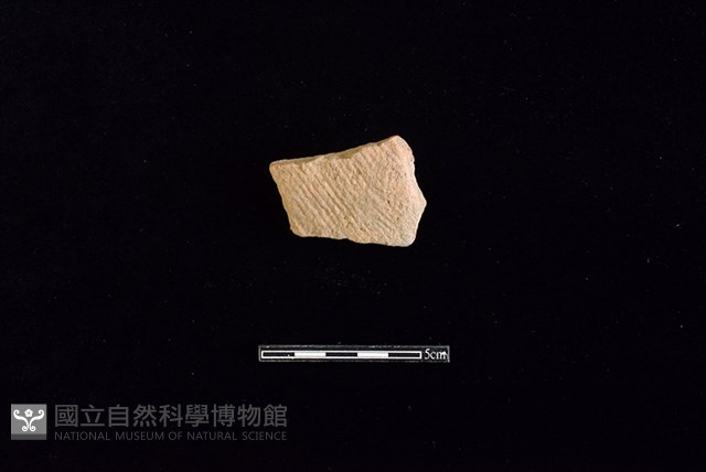陶片藏品圖，第1張