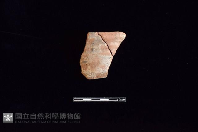 陶罐藏品圖，第1張