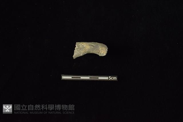 陶把藏品圖，第1張