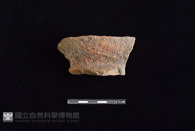 陶罐藏品圖，第1張