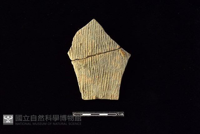 陶片藏品圖，第1張