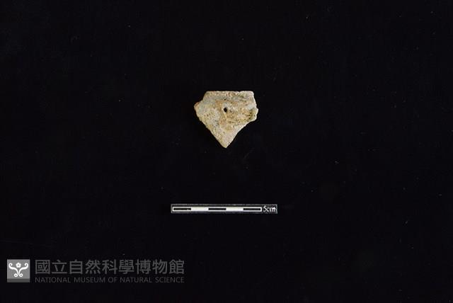 陶罐藏品圖，第1張