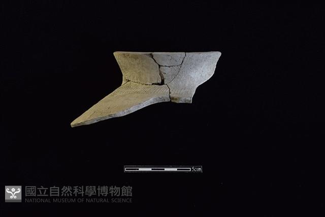 陶罐藏品圖，第1張