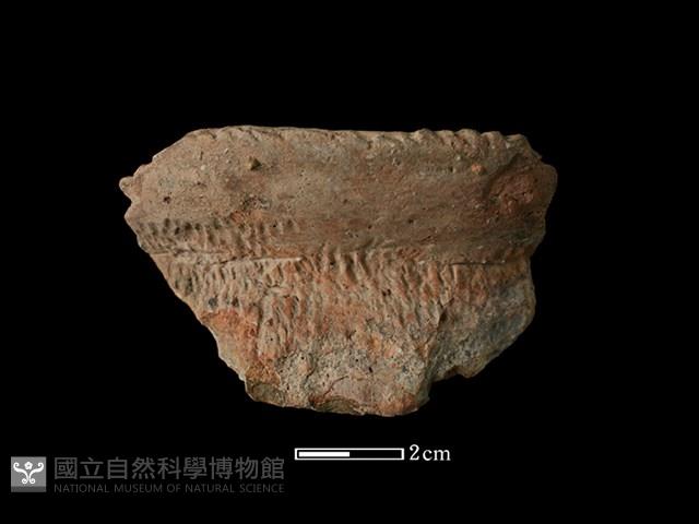 陶罐藏品圖，第1張