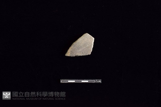 陶片藏品圖，第1張