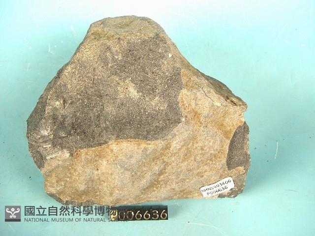 鹼性玄武岩藏品圖，第2張