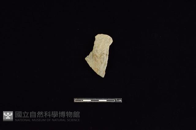 陶片藏品圖，第1張