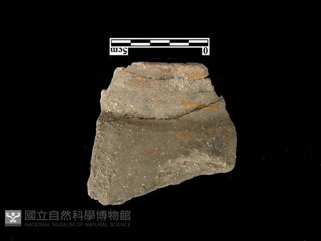 陶罐藏品圖，第1張