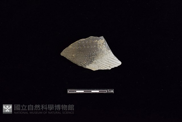 陶片藏品圖，第1張