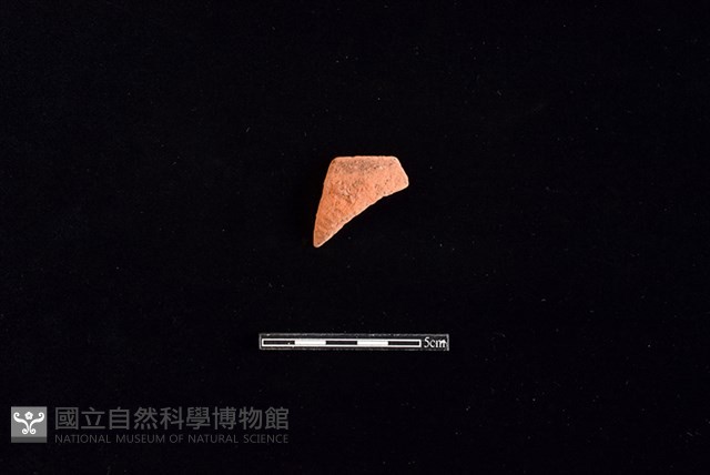 陶缽藏品圖，第1張