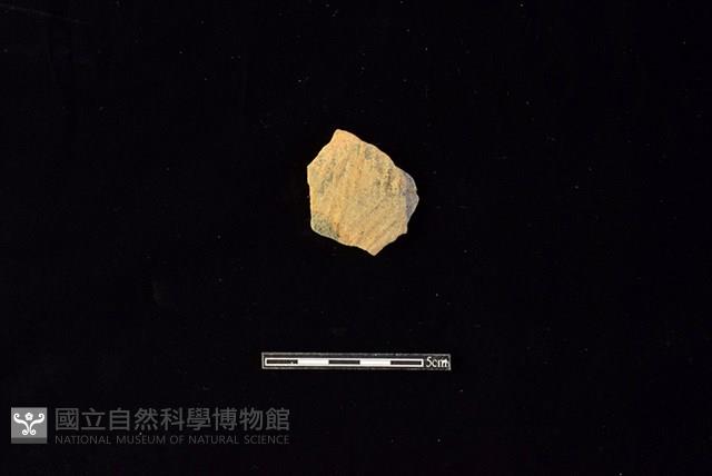 陶片藏品圖，第1張