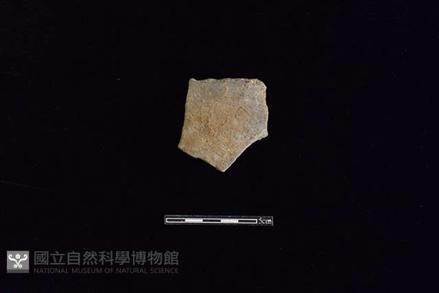 陶罐藏品圖，第1張