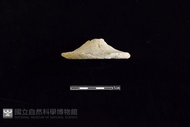 陶杯藏品圖，第1張