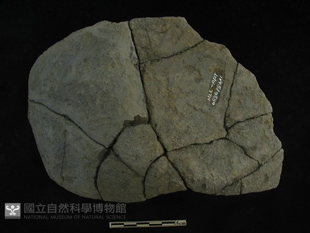 陶片藏品圖，第1張