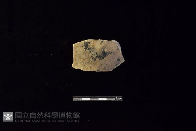 陶片藏品圖，第1張