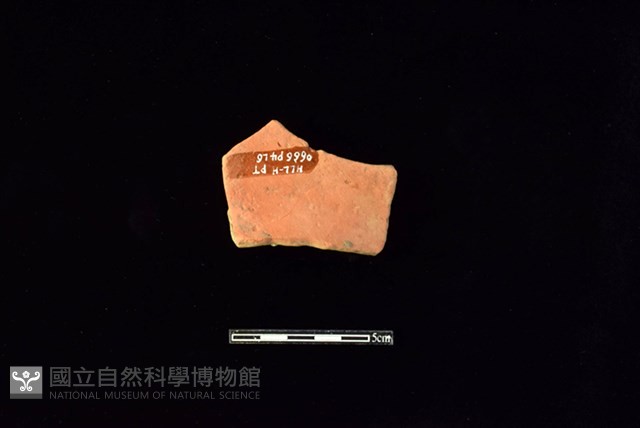連杯形器藏品圖，第1張